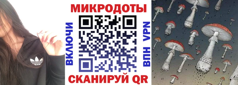 наркотики  Киреевск  Галлюциногенные грибы Psilocybine cubensis 