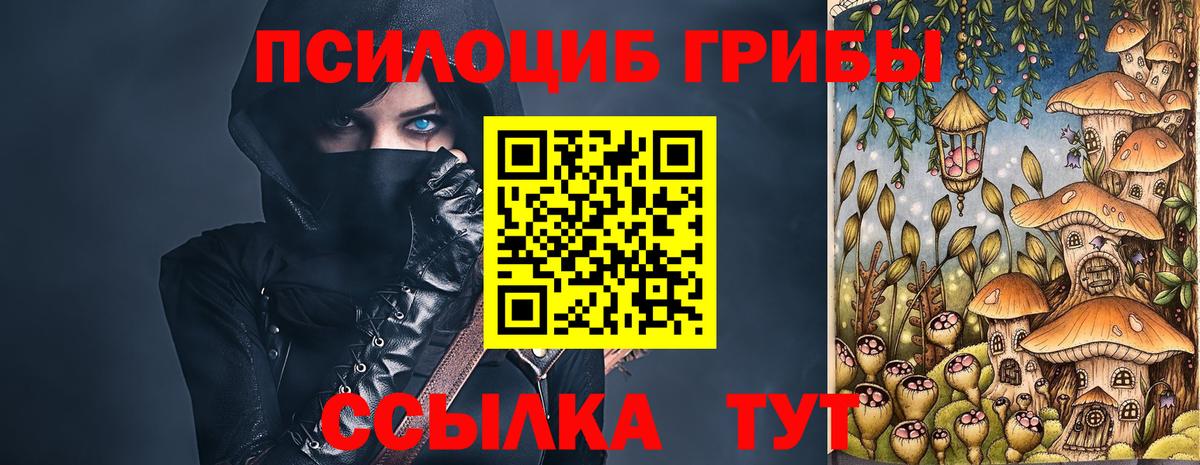 Псилоцибиновые грибы мицелий  Киреевск  Галлюциногенные грибы прущие грибы 