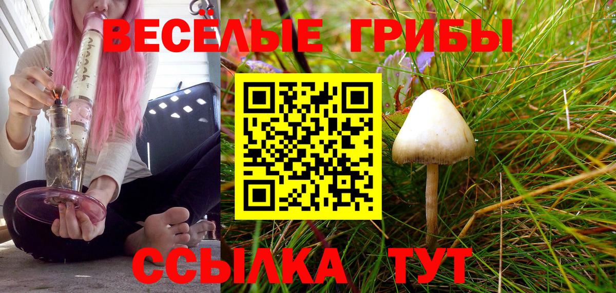 Галлюциногенные грибы GOLDEN TEACHER Киреевск